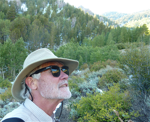 Bob Callaghan